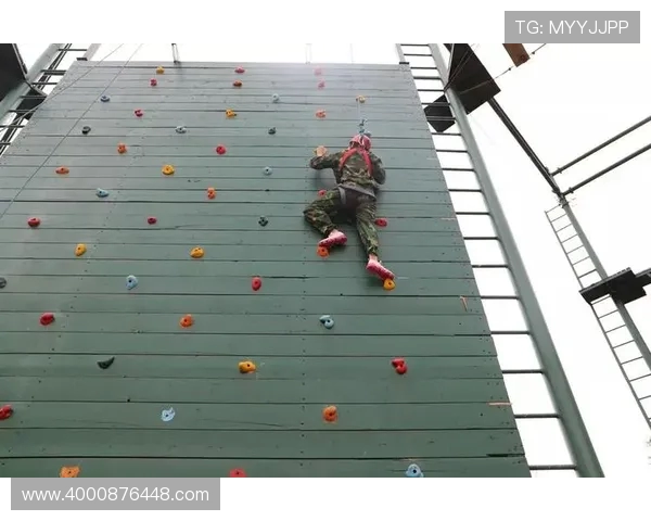 武汉攀岩队耐力训练揭秘:挑战极限与突破自我的旅程