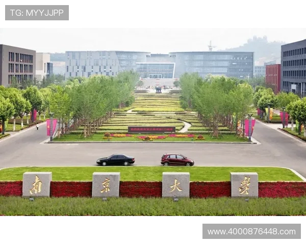 南京飞盘队状态分析与未来发展展望探讨